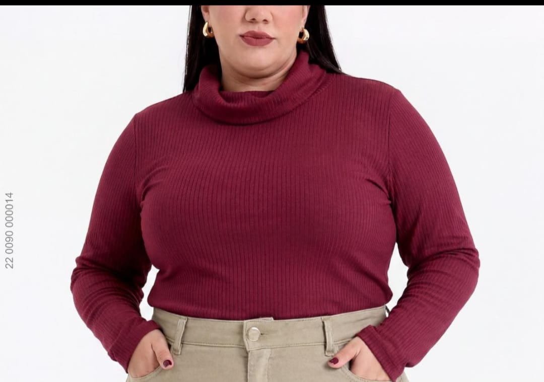 Blusa Canelada Vinho Gola Rolê