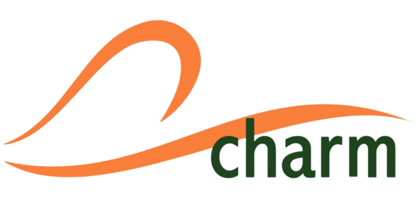 Charm Plus Size